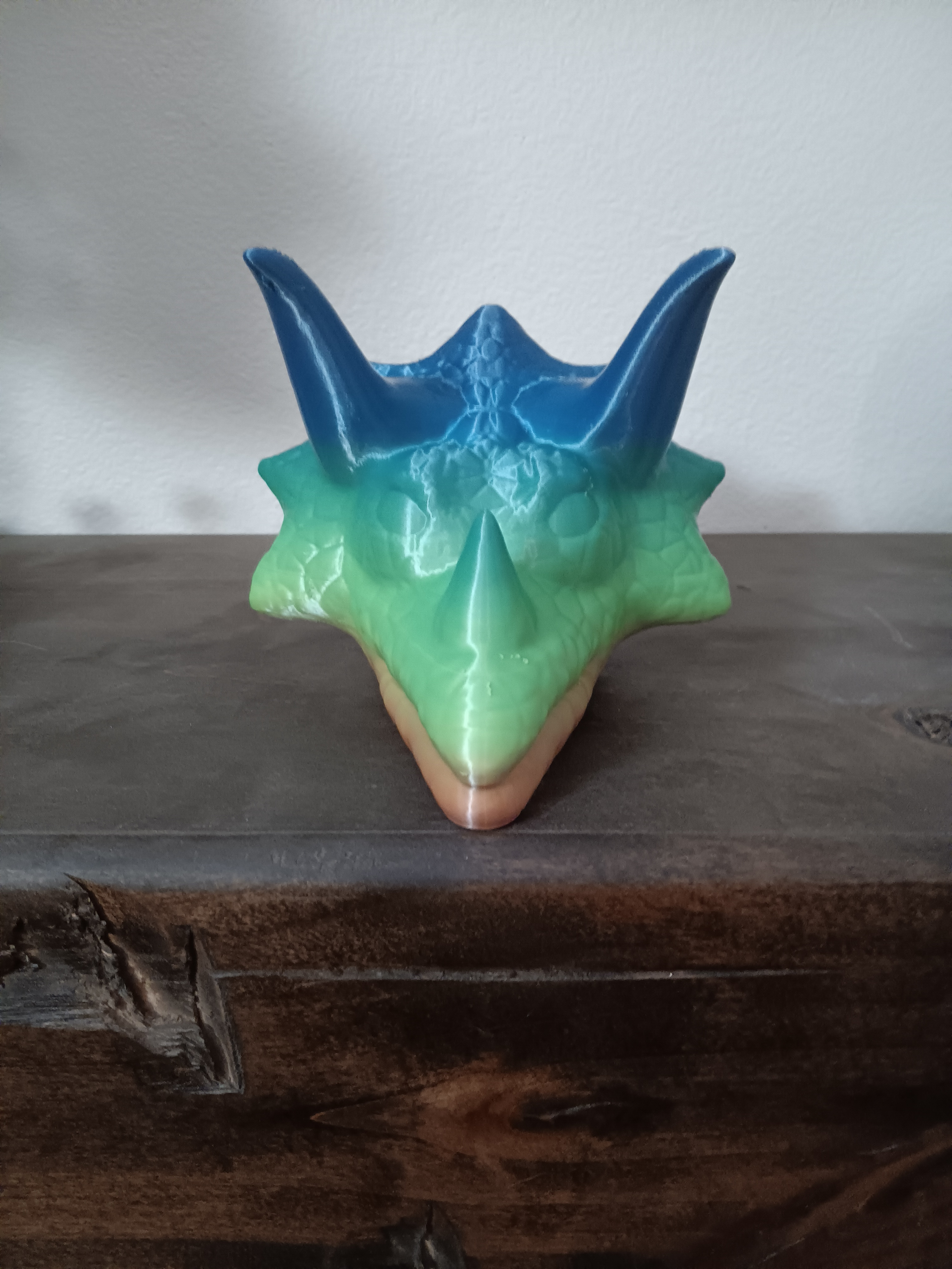 Triceratops Bust